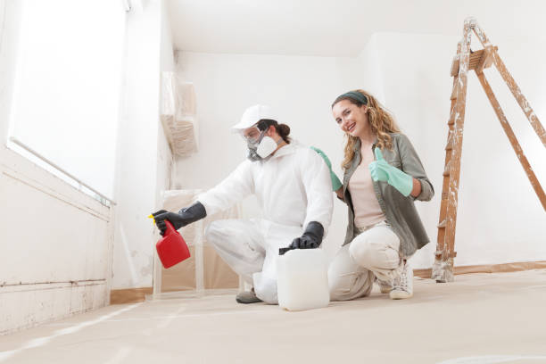 Best Mold-Related Health Consultation  in Menlo Park Terrace, NJ