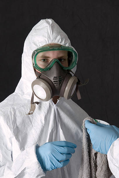 Menlo Park Terrace, NJ Mold Removal Company